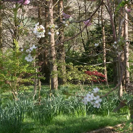 Ferienhaus The Byre *